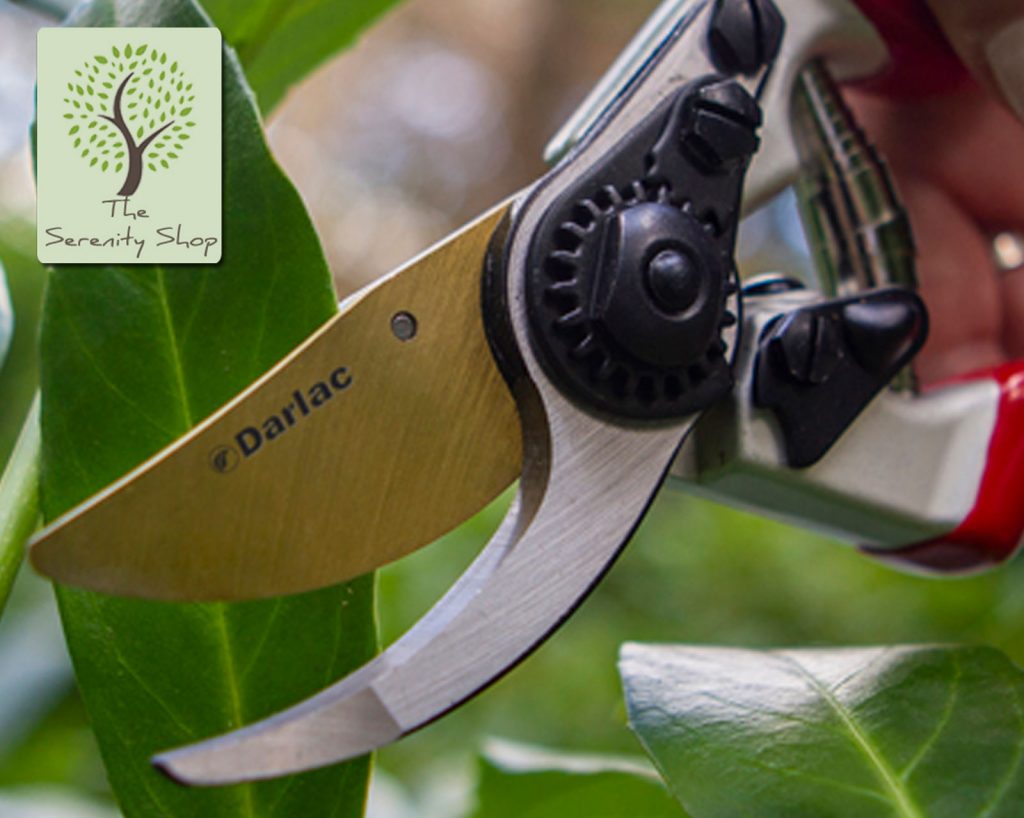 Darlac Expert Titanium Bypass Pruner / Secateurs - The Serenity Shop